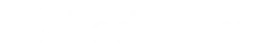 bodasnet-logo